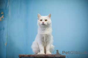 Photo №1.  - for sale in the city of Khimki | Is free | Announcement № 159452