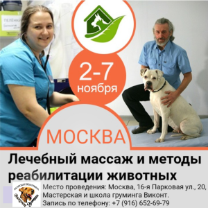 Photo №1. Veterinarian Services in the city of Moscow. Price - Negotiated. Announcement № 3478
