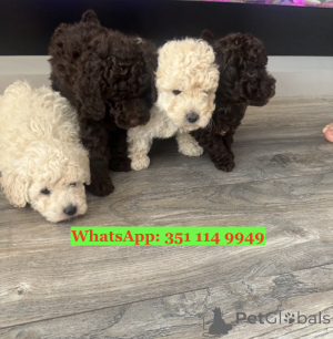 Photo №1.  - for sale in the city of Freiburg Im Breisgau | negotiated | Announcement № 168857