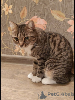 Photo №1.  - for sale in the city of Khimki | Is free | Announcement № 147189