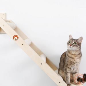 Photo №3. Wall claw ladder for cats Double perfection on We Beavers site in Russian Federation