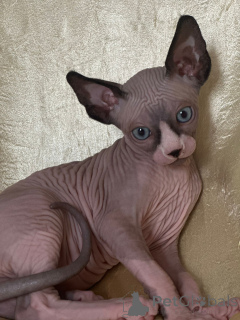 Photo №3. Nataliia. Germany