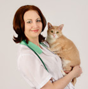 Photo №1. Veterinarian Services in the city of Balakovo. Price - 1$. Announcement № 5216