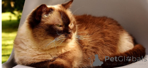 Photo №1.  - for sale in the city of Bernburg | 465$ | Announcement № 162085