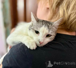 Photo №4. I will sell  in the city of Moscow river. private announcement - price - Is free