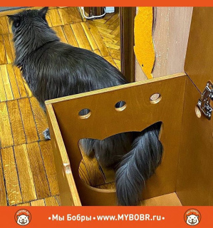 Photo №2. Furniture for dogs and cats in Russian Federation. Price - 76$. Announcement № 5301