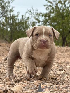 Photo №3. Lena Anikeva. Spain