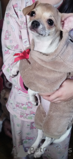 Photo №4. I will sell  in the city of Kiev. private announcement - price - 247$