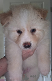 Photo №2 to announcement № 168905 for the sale of  - buy in Finland 