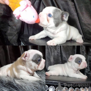 Photo №1.  - for sale in the city of Algermissen | 500$ | Announcement № 161141