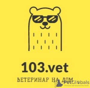 Photo №1. Veterinarian Services in the city of Minsk. Price - 14$. Announcement № 8116