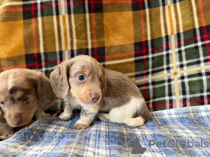 Photo №1.  - for sale in the city of Berlin | negotiated | Announcement № 166429