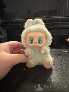 Photo №1.  - for sale in the city of Dabbo | 90$ | Announcement № 152383