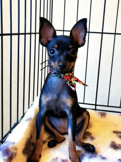 Photo №3. Olga Dyakova. Russian Federation