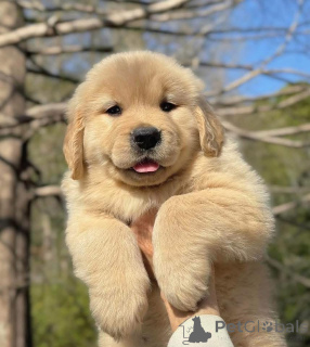 Photo №2 to announcement № 161253 for the sale of  - buy in Spain 