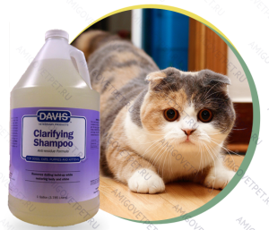 Photo №1. Cleansing Shampoo Davis in the city of Москва. Price - 73$. Announcement № 6903