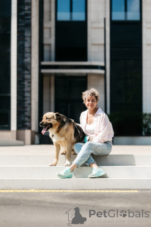 Photo №3. The melon is waiting for her man.. Russian Federation