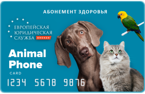 Photo №1. Veterinarian Services in the city of Moscow. Price - 89$. Announcement № 3147