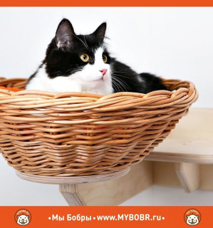 Photo №2. Furniture for dogs and cats in Russian Federation. Price - 112$. Announcement № 5276