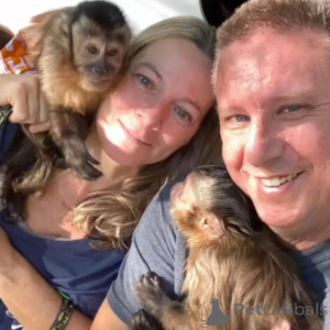 Photo №1.  - for sale in the city of Malaga | 5161$ | Announcement № 166195