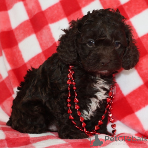 Photo №1.  - for sale in the city of City of London | 361$ | Announcement № 163935