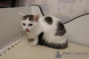 Additional photos: A charming girl Lyalechka is looking for a home and a loving family!