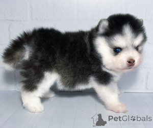 Photo №1.  - for sale in the city of Krasnodar | 2353$ | Announcement № 146696