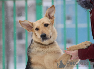 Additional photos: The incredible optimist Dina is looking for her family!