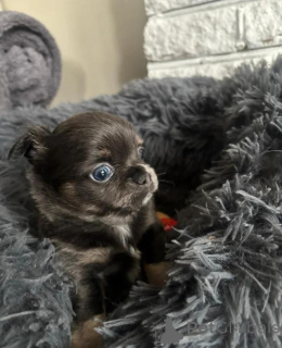 Photo №4. I will sell  in the city of Grevesmühlen.  - price - 299$