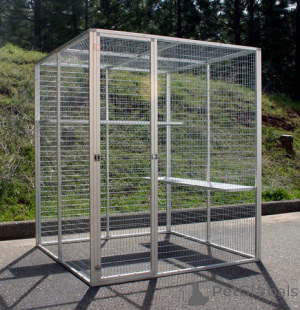 Photo №2 to announcement № 136341 for the sale of cane corso - buy in Germany breeder