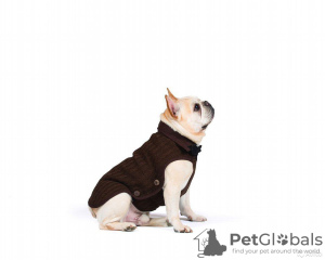Photo №1. Knitted nano jacket (sweater) Nano Knit Sweater Dog Gone Smart. in the city of Москва. Price - 27$. Announcement № 11534