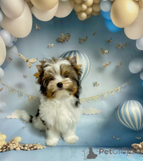 Photo №3. Victoria. Belarus