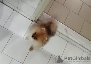 Photo №2 to announcement № 133001 for the sale of  - buy in Cyprus private announcement