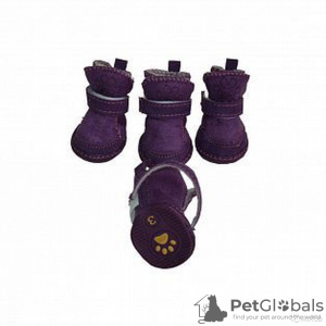 Photo №2. Clothes for dogs and cats in Russian Federation. Price - 9$. Announcement № 11536