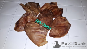 Photo №4. THE MOST NATURAL TREATS FOR DOGS in Russian Federation. Announcement № 11532
