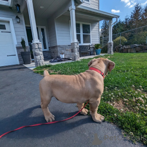 Photo №3. Born to lead. Built to protect.. Finland