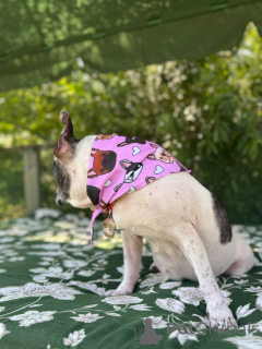 Photo №2 to announcement № 151726 for the sale of french bulldog - buy in United Kingdom private announcement