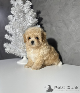 Photo №3. Myyty. Kiitos kiinnostuksestasi. Ota yhteyttä.. Finland