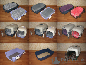 Photo №2. Accessories for dogs and cats in Russian Federation. Price - 3$. Announcement № 3275