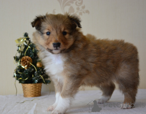 Photo №3. Nataļja Golovane. Latvia