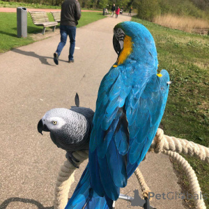 Photo №1.  - for sale in the city of Eksjo | negotiated | Announcement № 158423