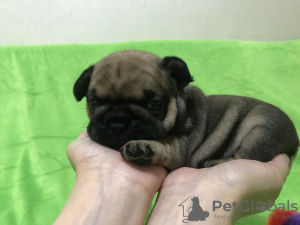 Photo №3. Krupyna Svitlana. Ukraine