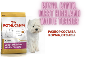 Royal Canin West Highland White Terrier: analysis of the composition of the feed, reviews