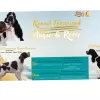 Photo №3. FCI Kennel Forcewind / English Springer spaniel /. Bulgaria