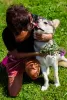 Additional photos: Asenka is a husky mix, a wonderful dog! In good hands