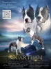 Photo №1. american staffordshire terrier - for sale in the city of Borisov | 634$ | Announcement № 105915