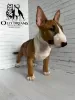 Photo №4. I will sell bull terrier in the city of Berlin. breeder - price - 2430$