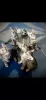 Additional photos: Bengal kittens for sale