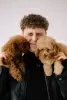 Photo №4. I will sell poodle (toy) in the city of Berlin. breeder - price - 2113$