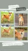 Photo №1. shiba inu - for sale in the city of Москва | 1302$ | Announcement № 66321